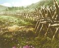 Concept artwork for Samurai Warriors 3