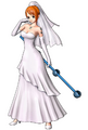 Wedding dress costume