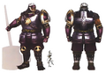 Rough concept