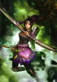 Samurai Warriors 3 artwork