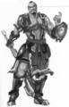 Rough concept