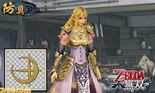 Zelda costume from the save data bonus