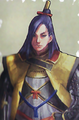 Sengoku Bushou Kanzen Visual Guide illustration