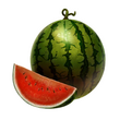 Watermelon (DWU).png