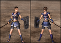Light Armor - A lightweight armor made with leather trappings.