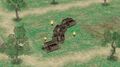 Wooden Oxen