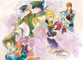 Reversible cover