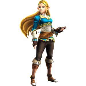 Princess Zelda Alternate Costume (HWDX).png