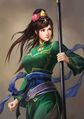 Romance of the Three Kingdoms XIV/Thirtieth year anniversary portrait for 100man-nin no Sangokushi Special