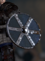 Viking Shield (French design)