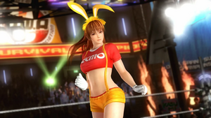 Kasumi Alternate Costume 64 (DOA5LR).png