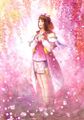 Samurai Warriors 2 artwork