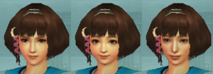 Female Face Shapes (SWC3).png