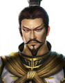 Dynasty Warriors: Dominate portrait