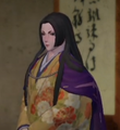 Touken Ranbu Warriors appearance