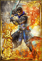 Shin Sangoku Musou Blast special card