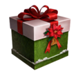 Green Christmas Box (DWU).png