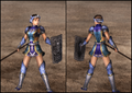 Heavy Armor - Honorary armor designed exclusively for women.