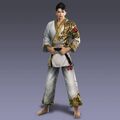 Dynasty Warriors VS limited edition costume