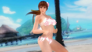 Kasumi Alternate Costume 49 (DOA5LR).png