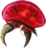 A Tallon Metroid from Aether