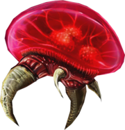 Metroid (species) - Metroid Wiki