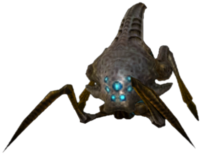 Carte Splinter