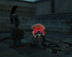 Tallon Metroid - Metroid Wiki