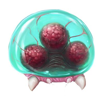 Carte Metroid Hatchling