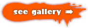 Old Gallery Link Icon.png