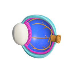 File:S3 Decoration eye anatomy model.png