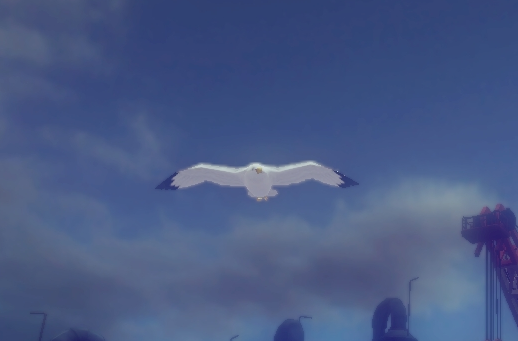 File:Saltspray seagull at night.png