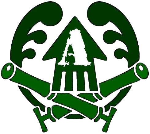 File:Competitive Team Team Army Asterisk Logo.png