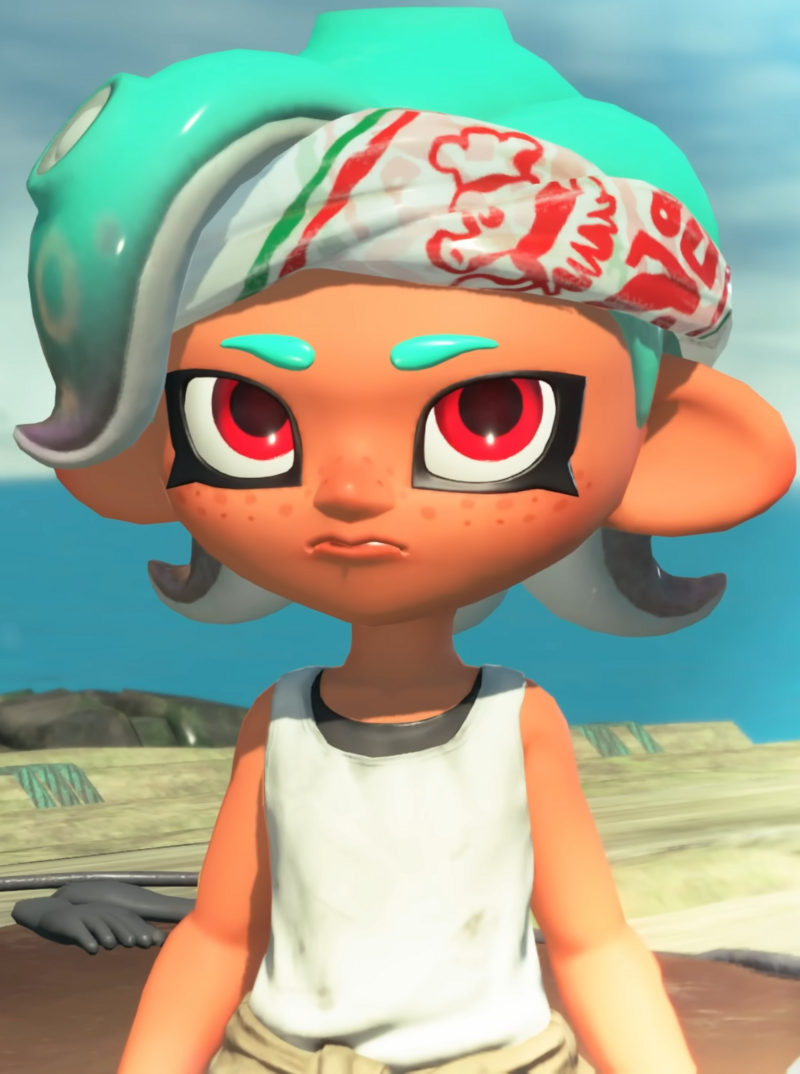 File:Raiders Customization Skin 4 freckles preview.png - Inkipedia, the ...