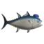 S3 Decoration Mister Tuna.png