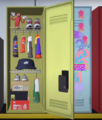 One of the example lockers shown featuring clothing, shelves, and decorative items