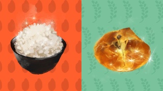 S Splatfest Rice vs Bread.jpg
