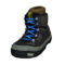 Pro Trail Boots