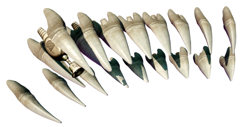 File:Octo Valley Ravenous Octomaw teeth render.png