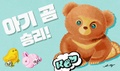 Team Bear Cubs win (Korean)