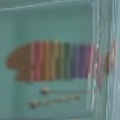 Fish-shaped xylophone