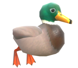 S2 Mallard Duck Model.png