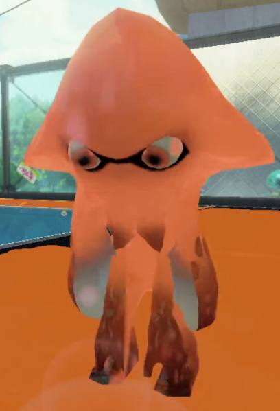 File:Squid transistioning form.png