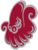 ANG-OKTO