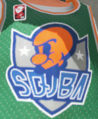 Close-up of the jersey logo.