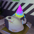 Judd wearing a party hat