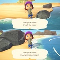 References to the Splatoon series while catching a squid in Animal Crossing: New Horizons