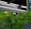 A sparrow among the plants at Inkopolis Plaza.