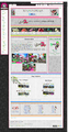 Main page with colour scheme 3