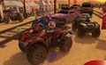 Jellyfish sitting on the quad bikes that match their team colors